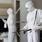 Disinfectant Fogging