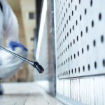 Summer Pest Control Tips for a Bug-Free Home