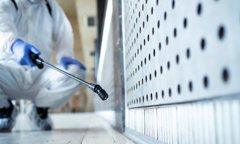 Summer Pest Control Tips for a Bug-Free Home